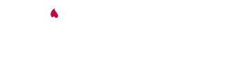 Fling logo